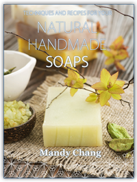 Natural Handmade Soaps book cover